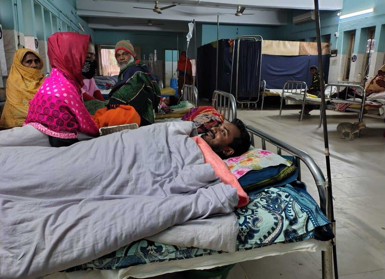 পোরশায় ভিমরুলের কামড়ে অন্তত ২০ আহত