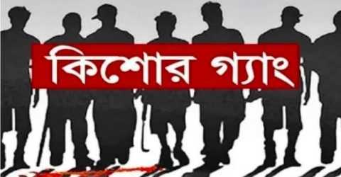 মেহেন্দিগঞ্জের চরএককরিয়া ও চরলতায় কিশোর গ্যাংয়ের উত্থান: রাজনৈতিক ছত্রছায়ায় চাঁদাবাজি ও সহিংসতা