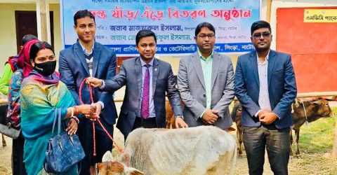 সিংড়ায় ক্ষুদ্র নৃ-গোষ্ঠীদের মাঝে গরু বিতরণ