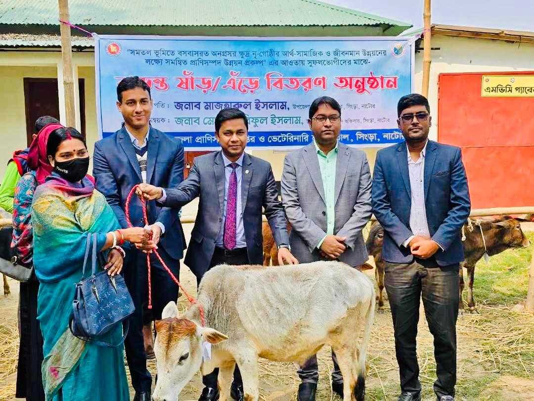 সিংড়ায় ক্ষুদ্র নৃ-গোষ্ঠীদের মাঝে গরু বিতরণ