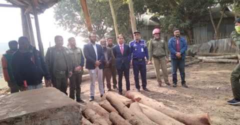 শ্রীবরদীতে ৪ অবৈধ করাত কলের যন্ত্রাংশ ও কাঠ জব্দ, উচ্ছেদ অভিযান