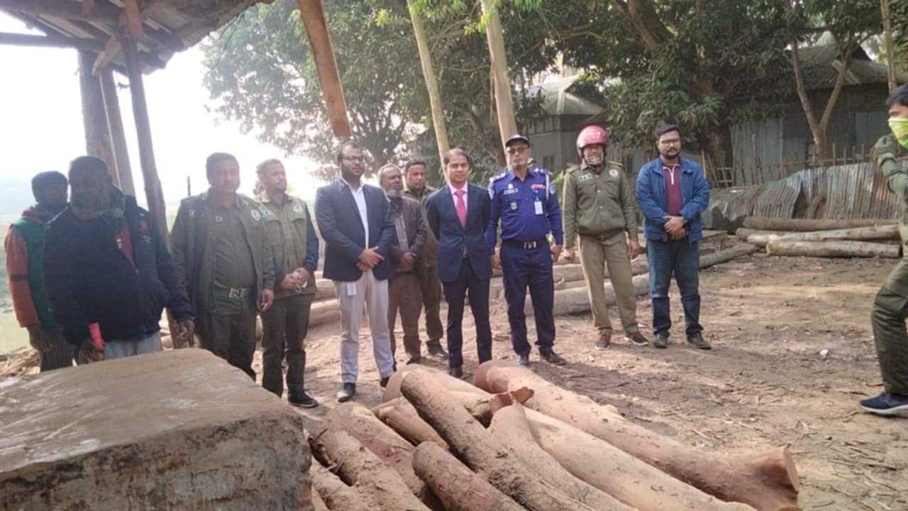 শ্রীবরদীতে ৪ অবৈধ করাত কলের যন্ত্রাংশ ও কাঠ জব্দ, উচ্ছেদ অভিযান