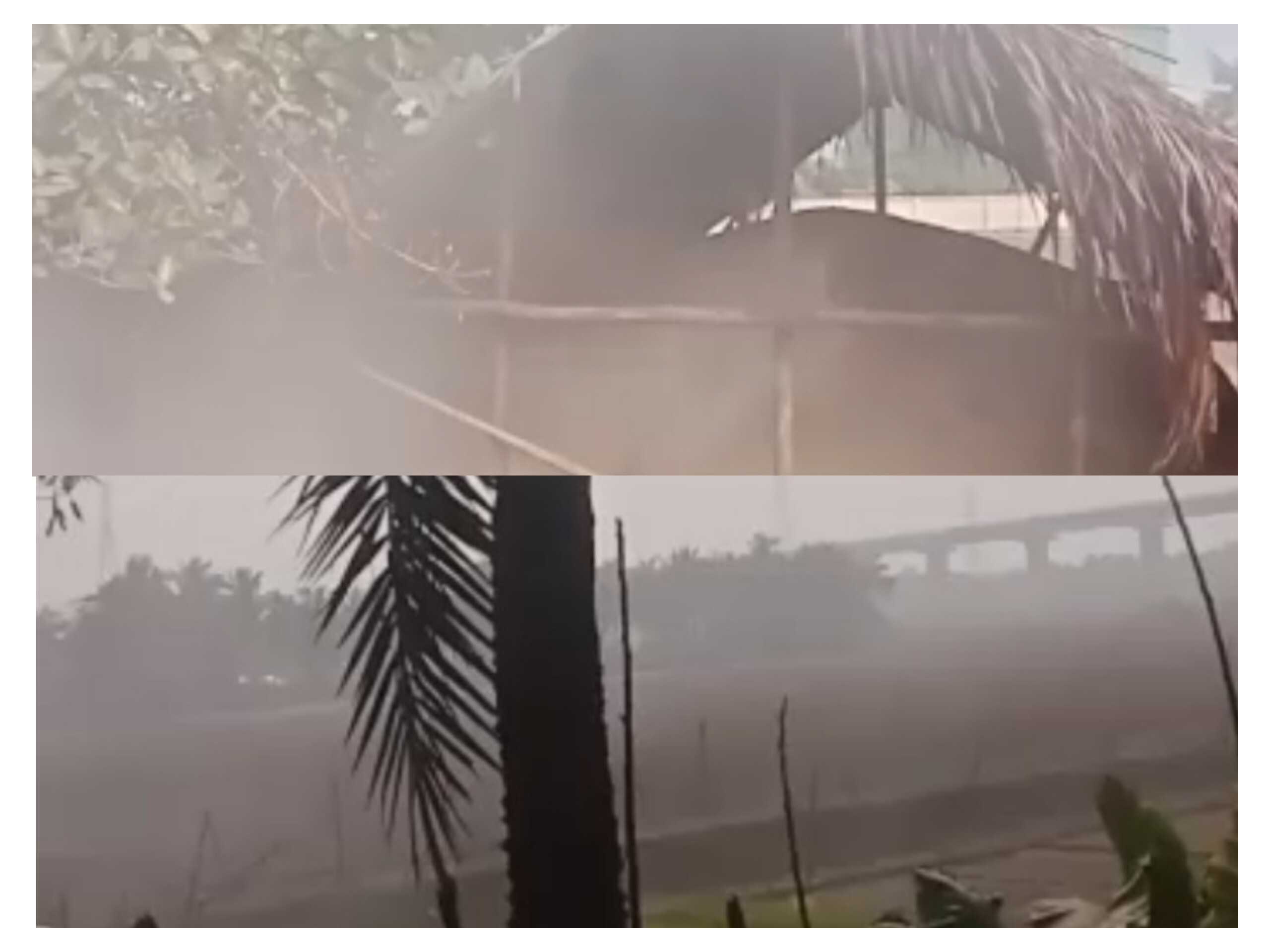 খুলনার রূপসা উপজেলায় অবৈধ কয়লার চুল্লির প্রভাবে পরিবেশ ও বনজ সম্পদ নষ্ট হচ্ছে