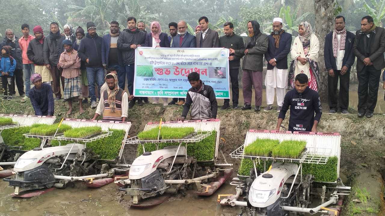 ফুলবাড়ীতে তীব্র শীতের মাঝে সমলয়ে বোরো চাষাবাদের নবযাত্রা