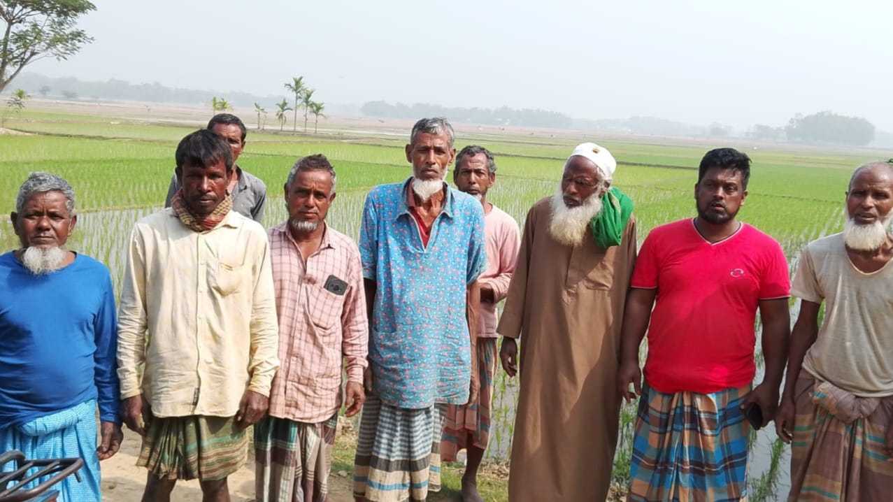 বোরো আবাদে পানি সংকটে কমলগঞ্জের চাষীরা