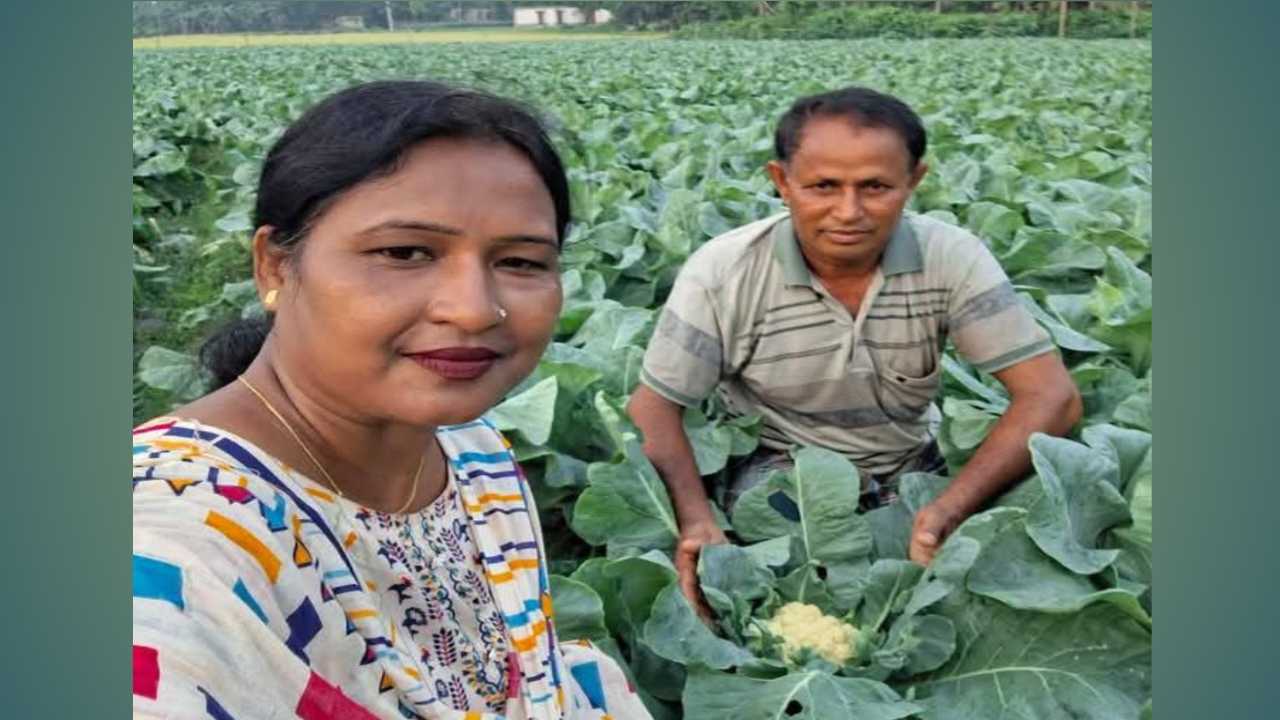 “গ্রীষ্মকালীন ফুলকপি চাষে সম্ভাবনার দ্বার খুলছে—গাবতলীর কাগইলে কৃষি বিভাগ মাঠে”