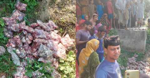 বদলগাছিতে ব্রিজের নিচে পাওয়া গেলো বিপুল পরিমাণ গরুর মাংসের প্যাকেট