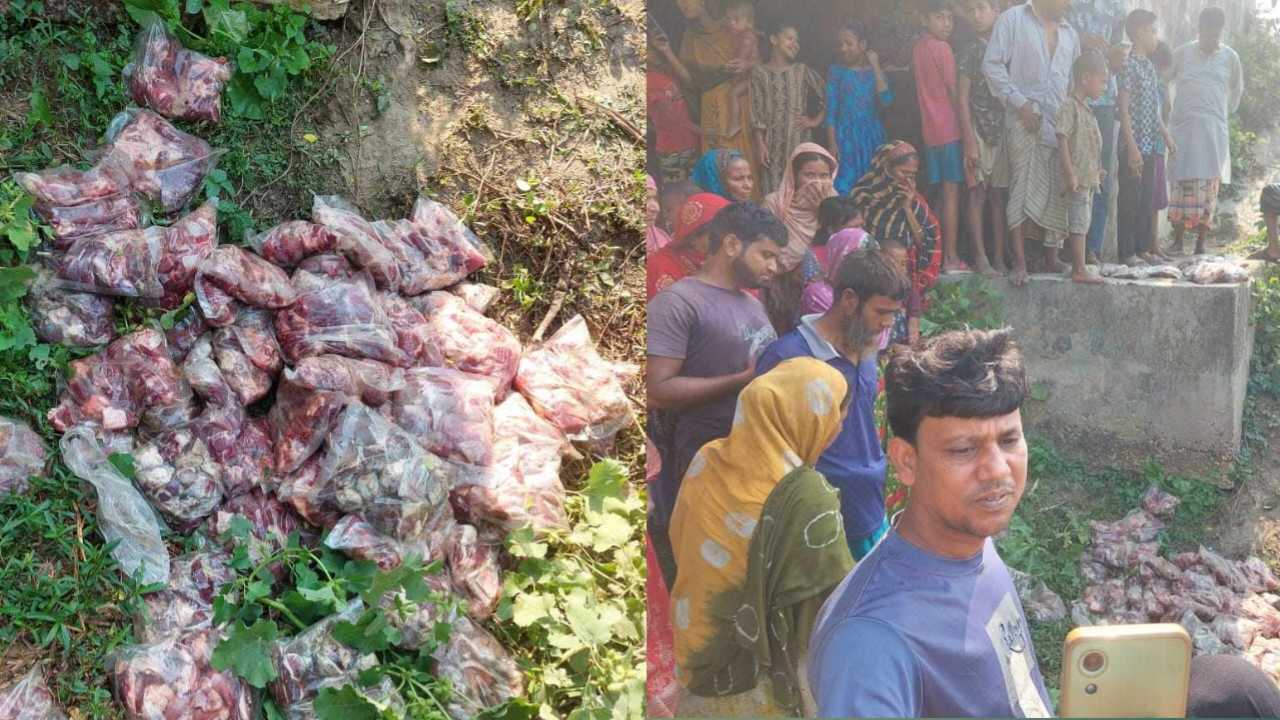 বদলগাছিতে ব্রিজের নিচে পাওয়া গেলো বিপুল পরিমাণ গরুর মাংসের প্যাকেট