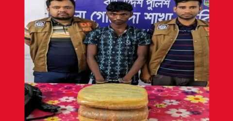 নাটোরে ৪ কেজি গাঁজা সহ এক মাদক ব্যবসায়ী আটক 