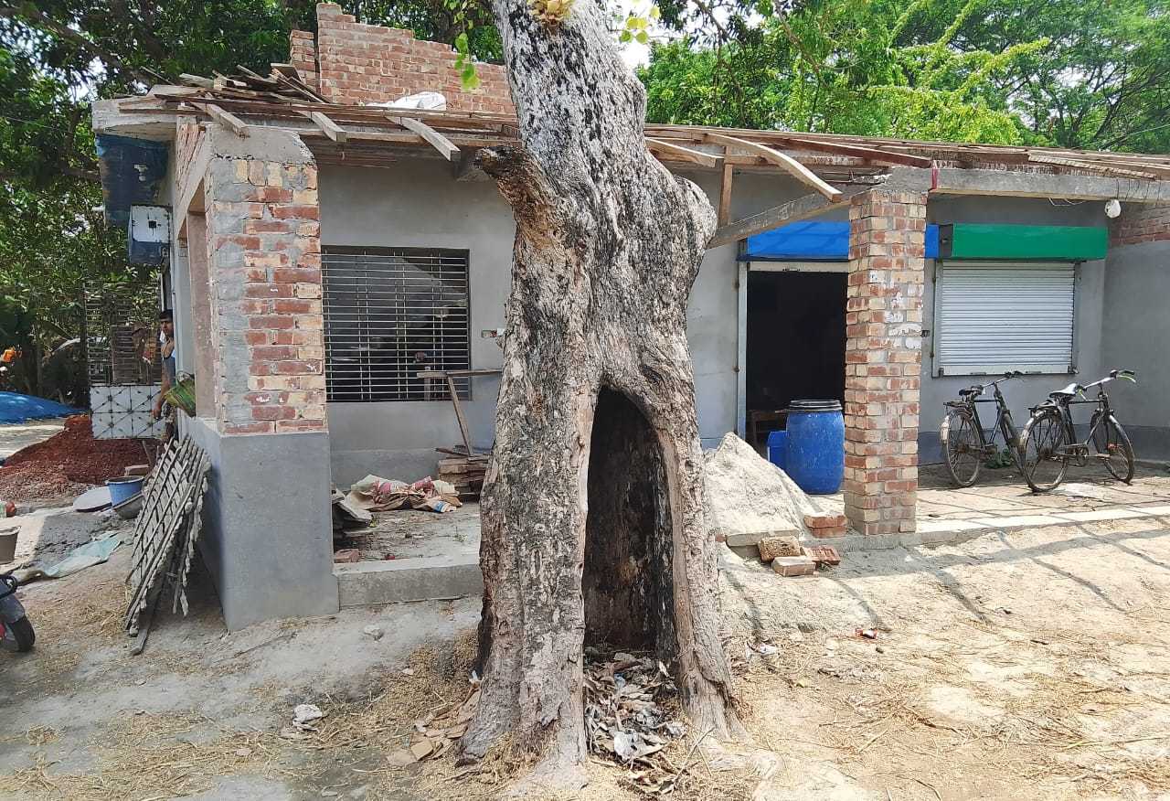 সাতক্ষীরায় সরকারি জায়গায় প্রাচীন বটগাছ নিধনের অভিযোগ, এলাকাবাসীর ক্ষোভ