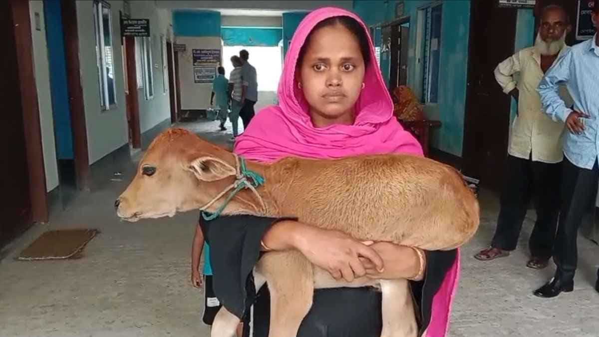 গরু নিয়ে যাওয়ার ঘটনায় স্বেচ্ছাসেবক দল নেতা বহিষ্কার, গরু ফেরত পেলেন অসহায় নারী