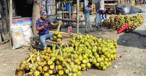 গরমে জনপ্রিয় হয়ে উঠেছে তাল শাঁস 
