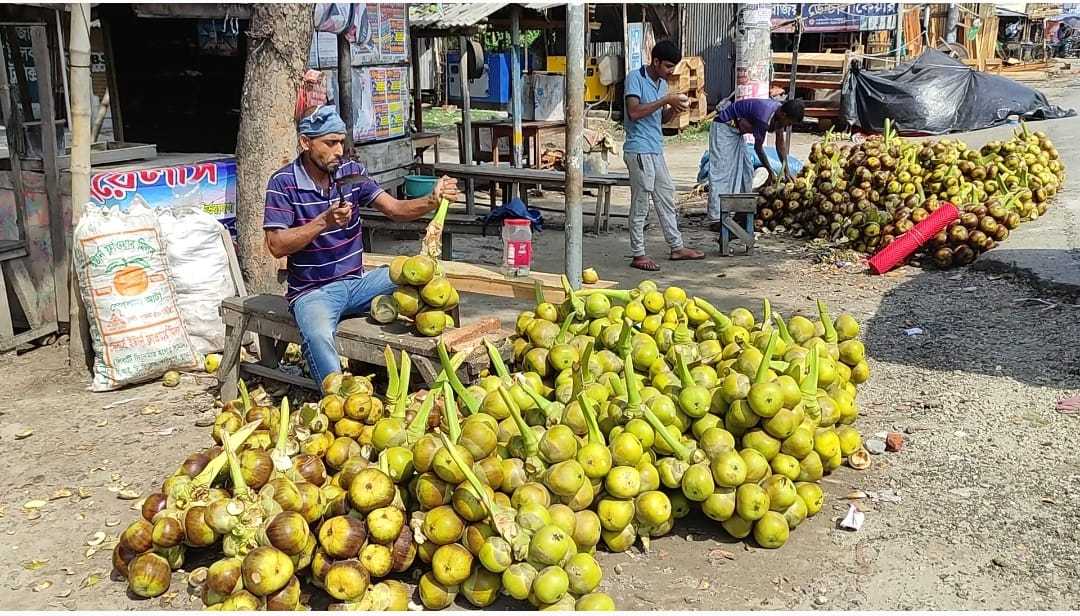 গরমে জনপ্রিয় হয়ে উঠেছে তাল শাঁস 