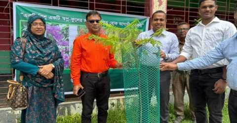 ঘাটাইলে বৃক্ষরোপণ কর্মসূচি পালন।