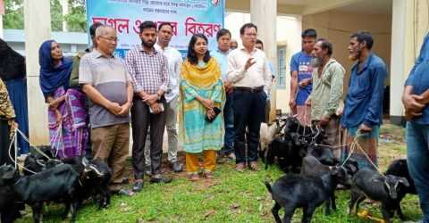 পানছড়িতে দরিদ্র জেলেদের মাঝে ছাগল ও শুকর বিতরণ। 
