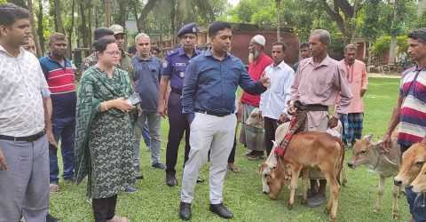দিঘলিয়ায় ১৬ জন জেলের মাঝে বকনা বাছুর বিতরণ।