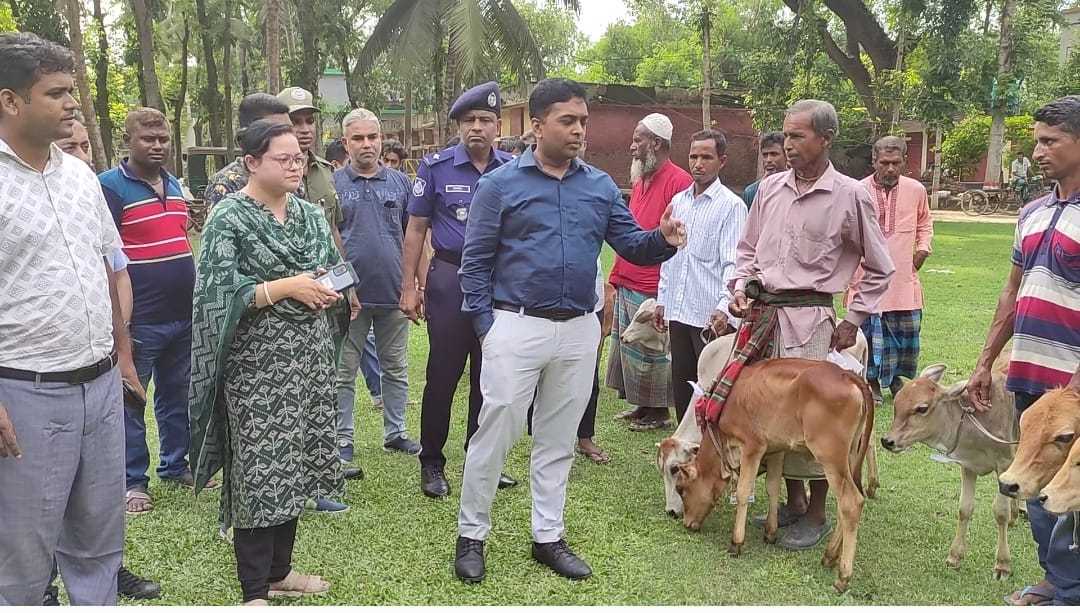 দিঘলিয়ায় ১৬ জন জেলের মাঝে বকনা বাছুর বিতরণ।