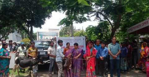 ক্ষুদ্র নৃগোষ্ঠীর আর্থ সামাজিক ও জীবন মানোন্নয়নের লক্ষ্যে বদলগাছীতে বকনা বাছুর বিতরণ 