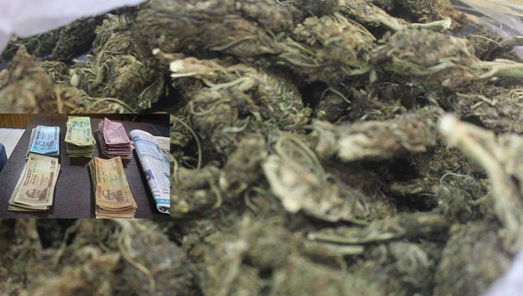 বদলগাছী থানা পুলিশের অভিযানে এক নারী মাদক কারবারি আটক 