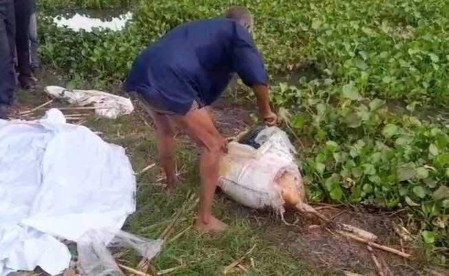 জামালপুরে মাথা বিহীন নারীর বস্তাবন্দি মরদেহ উদ্ধার।