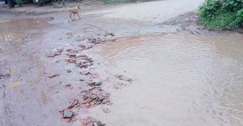 বড় চওনা টু কালিহাতী রাস্তার বেহাল দশা 