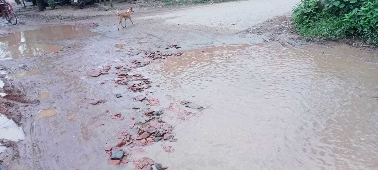 বড় চওনা টু কালিহাতী রাস্তার বেহাল দশা 
