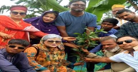 পরিবেশের ভারসাম্য রক্ষায় টাঙ্গাইলে বিভিন্ন স্কুল কলেজে বিনামূল্যে গাছের চারা বিতরণ 