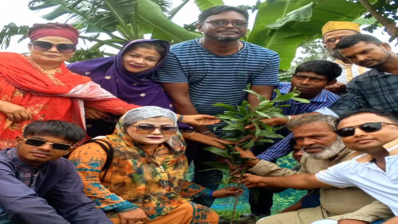 পরিবেশের ভারসাম্য রক্ষায় টাঙ্গাইলে বিভিন্ন স্কুল কলেজে বিনামূল্যে গাছের চারা বিতরণ 