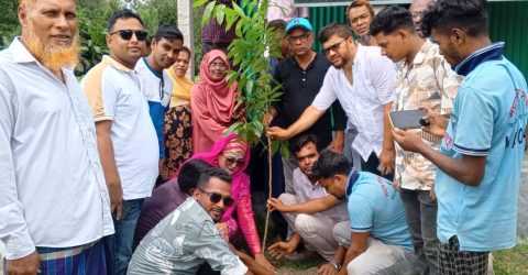 পরিবেশের ভারসাম্য রক্ষায় টাঙ্গাইলে বিভিন্ন শিক্ষা প্রতিষ্ঠানে বিনামূল্যে গাছের চারা বিতরণ 