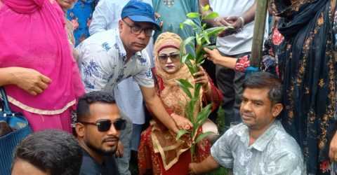 পরিবেশের ভারসাম্য রক্ষায় টাঙ্গাইলে বিভিন্ন স্কুল কলেজে বিনামূল্যে গাছের চারা বিতরণ
