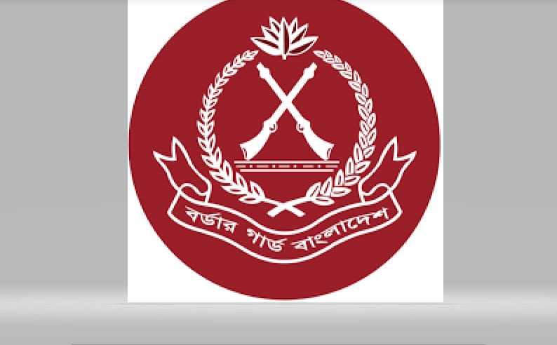 যশোরের বিভিন্ন সীমান্তে ৭ মাসে সাড়ে ৭ কেজি সোনা সহ ৪৩ কোটি টাকার পণ্য আটক করে (৪৯ বিজিবি)  