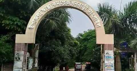 ধনবাড়ীতে কুকুরের কামড়ে ২৫ জন আহত