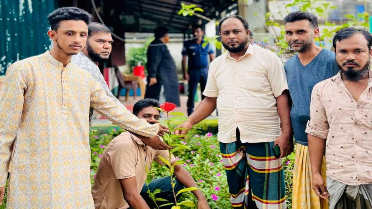 ধলাপাড়ায় ছাত্রদল নেতা সাকিব ভূইয়ার উদ্যোগে পুলিশ ফাঁড়িতে বৃক্ষরোপণ কর্মসূচি