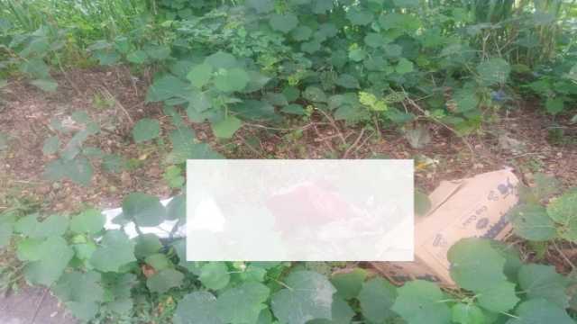 ফকিরহাটে মহাসড়কের পাশে থেকে নবজাতকের মরদেহ উদ্ধার