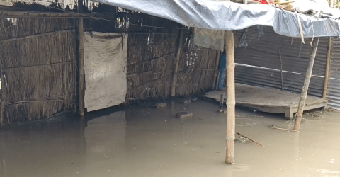 পদ্মার পানি নামছে ধীরে, দুর্ভোগে চাঁপাইনবাবগঞ্জের বানভাসি মানুষ