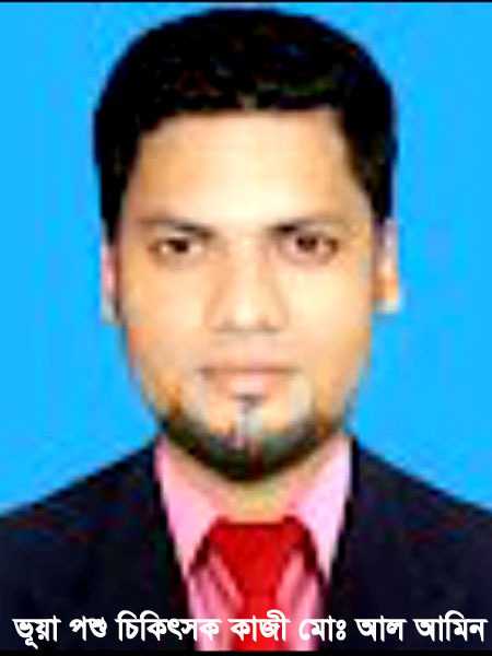কালীগঞ্জে ভুল চিকিৎসায় গরুর মৃত্যু, খামারিদের ক্ষোভ