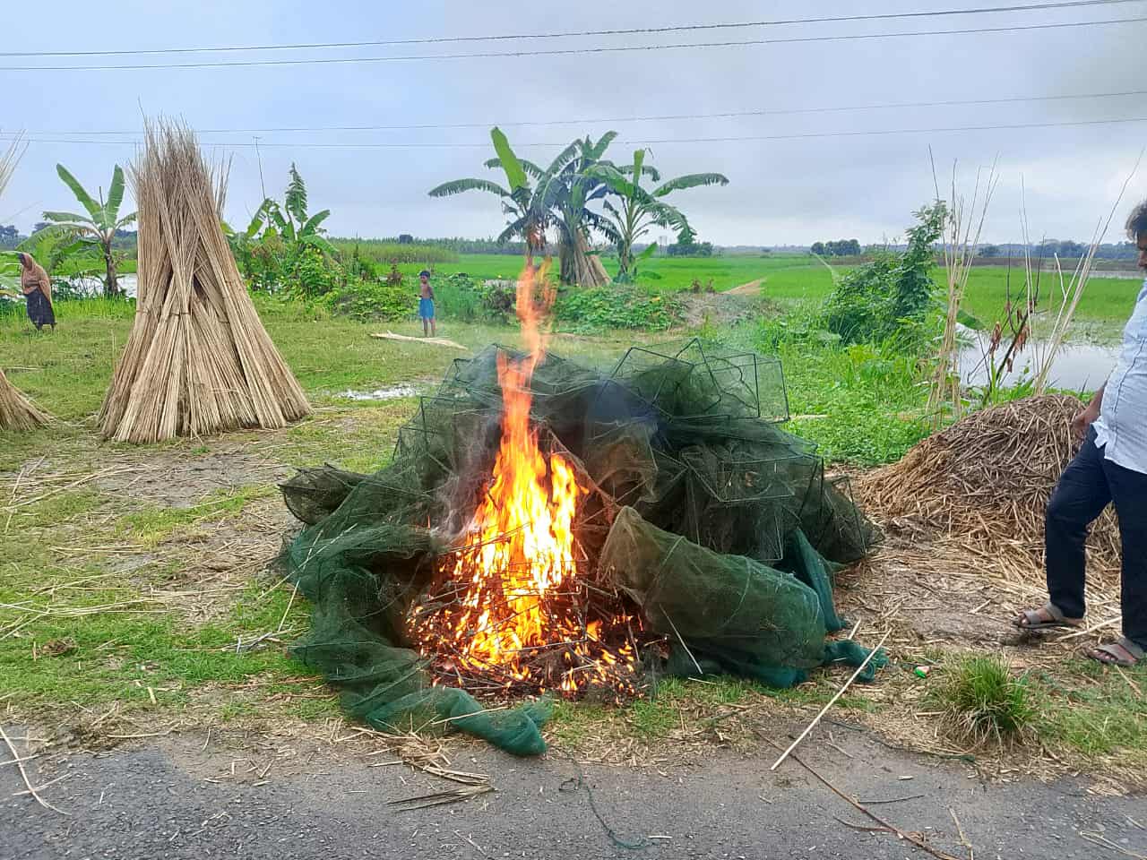 নাটোর সদরে সেনা অভিযানে ২ লাখ ৩৬ হাজার টাকার নিষিদ্ধ জাল উদ্ধার ও ধ্বংস