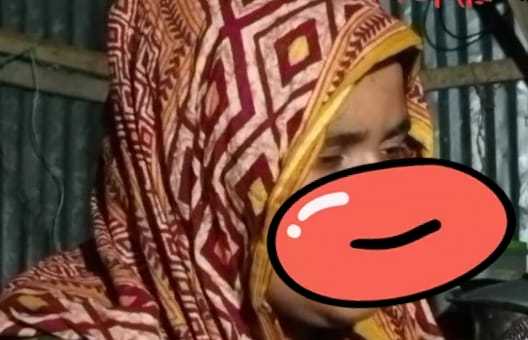 নাটোরে মোবাইল চুরির অপবাদে গৃহবধূকে নির্যাতনের অভিযোগ